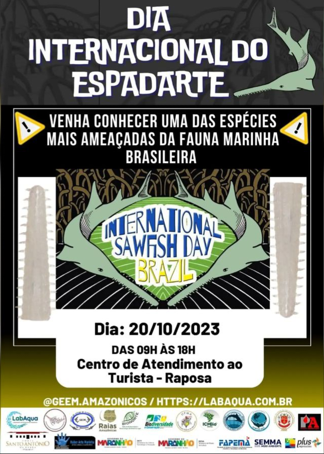 Curso de Oceonografia da UFMA promove ações em alusão International Sawfish Day Brazil