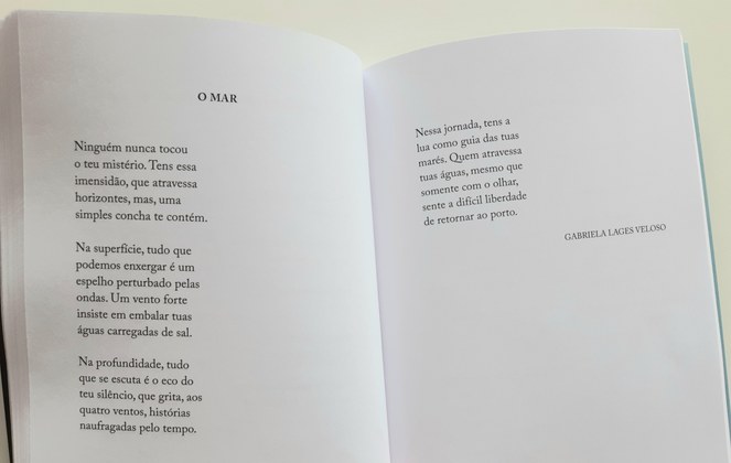 Mestranda de Letras apresenta sua poesia intitulada “O Mar”, no Prêmio Literário Amei 2021 (1).jpg