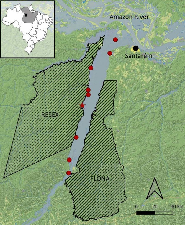 Pesquisador do câmpus de Pinheiro descobre nova espécie de peixe na Bacia Amazônica (mapa).jpg