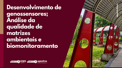 Coordenação de Prestação de serviços site (1).png