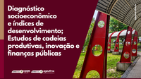 Diagnóstico socioeconômico e índices de desenvolvimento; Estudos de cadeias produtivas, inovação e finanças públicas