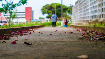 WhatsApp Image 2022-01-17 at 08.04.59.jpeg