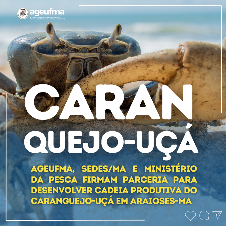 NOTÍCIAS INSTAGRAM (1080 × 1080 px) (Post para Instagram (Quadrado)) (Post do Instagram) (1).png