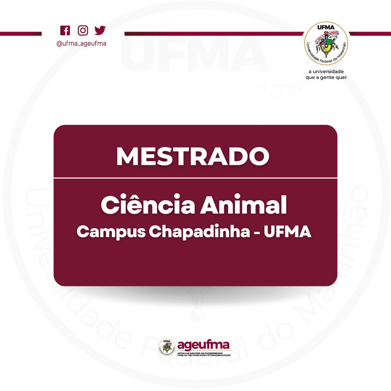 Processo Seletivo 2024/1 – Mestrado e Doutorado - Programa de Pós-Graduação  em Ciência Animal