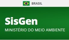 SisGen.jpeg
