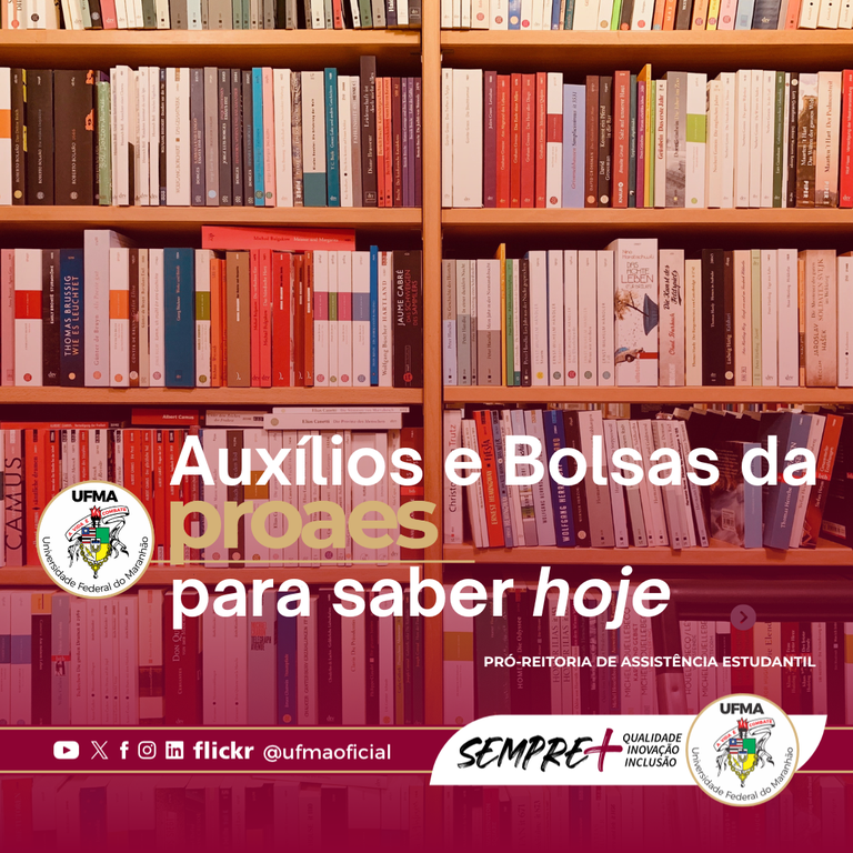 Imagem da Notícia 1