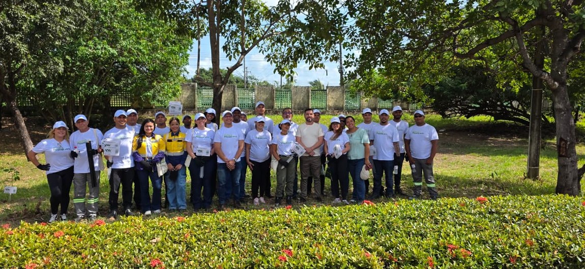 UFMA recebe plantio de 60 mudas em ação do Projeto Pegada Zero, da empresa KW