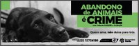 Campanha+contra+abandono+animais.jpeg