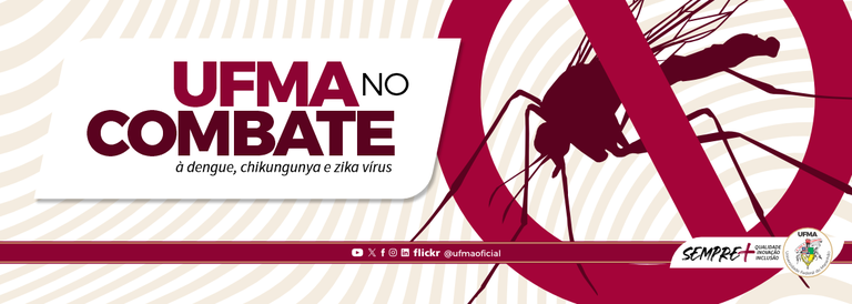 COMBATE À DENGUE_BANNER.png
