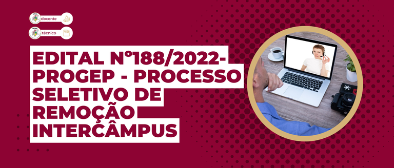 Newsletter - 12ª edição (2).png