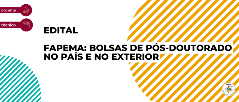 Newsletter - 13ª edição (1).png