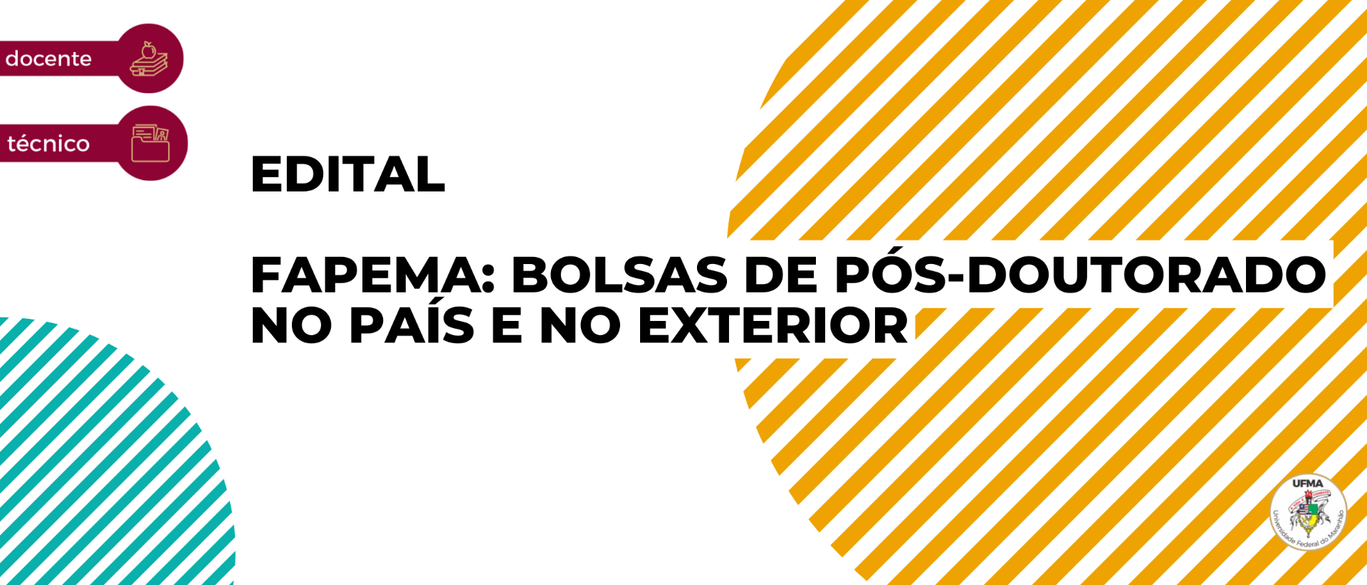 Newsletter - 13ª edição (1).png