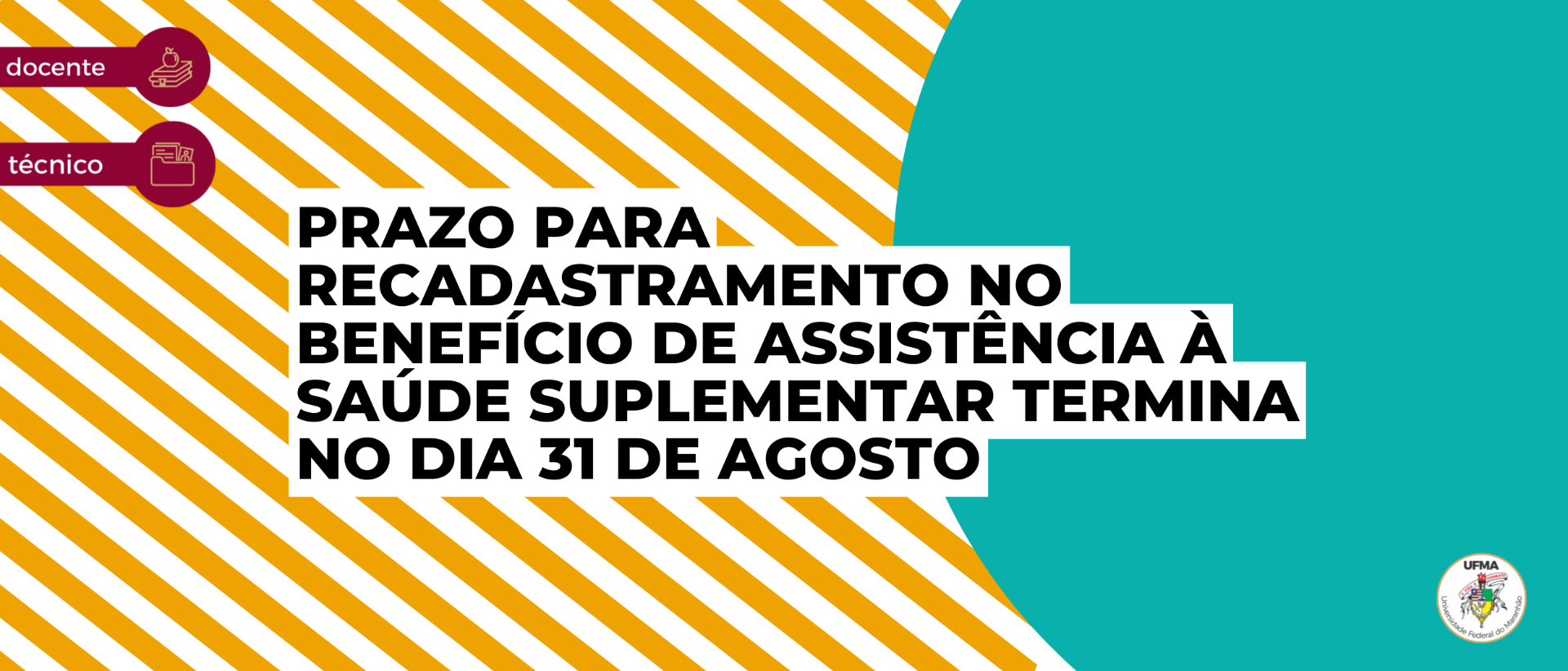 Newsletter - 13ª edição (4).png