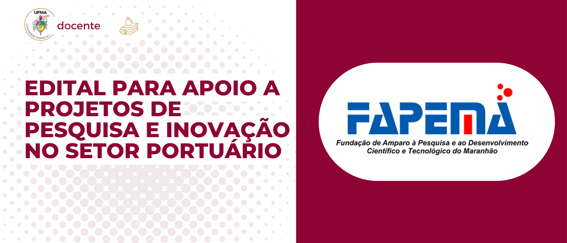 Newsletter - 7ª edição (1).png