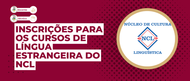 Newsletter - 6ª edição (4).png