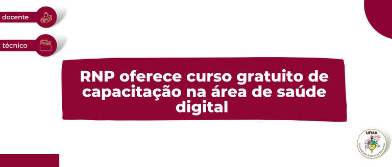 Newsletter - 24ª edição (3).png