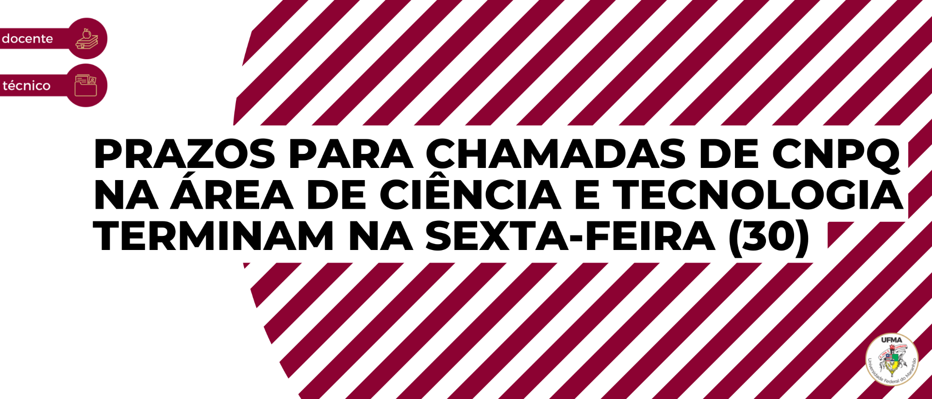 Newsletter - 16ª edição (3).png