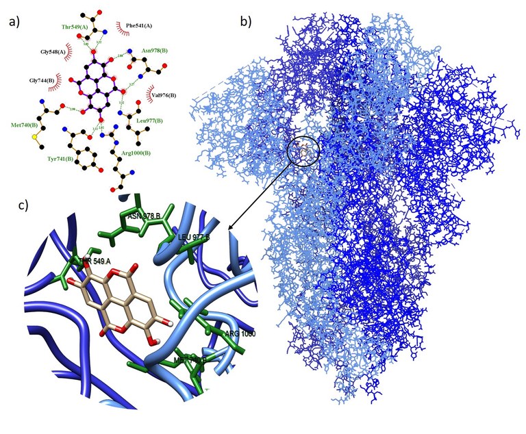 Alunos do Centro de Ciências de São Bernardo desenvolvem pesquisa para tratamento da COVID-19