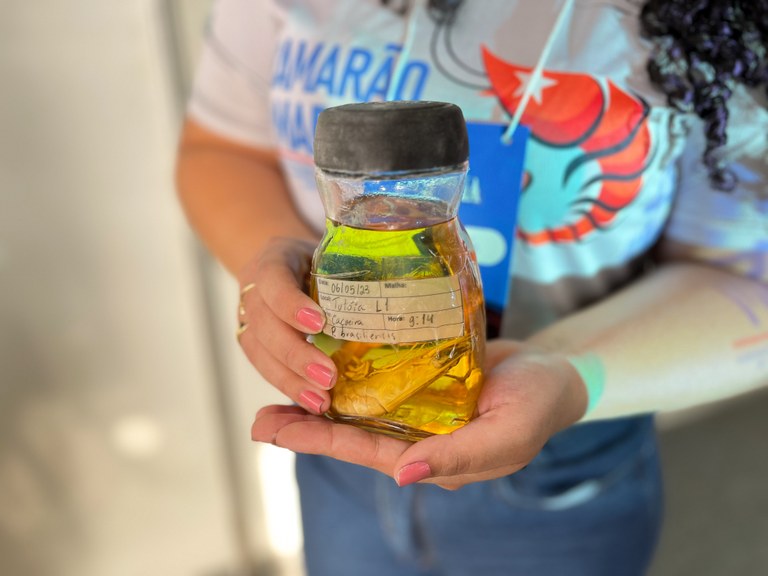 Alunos e professores da UFMA apresentam trabalho na Exposição Agropecuária do Maranhão (Expoema)