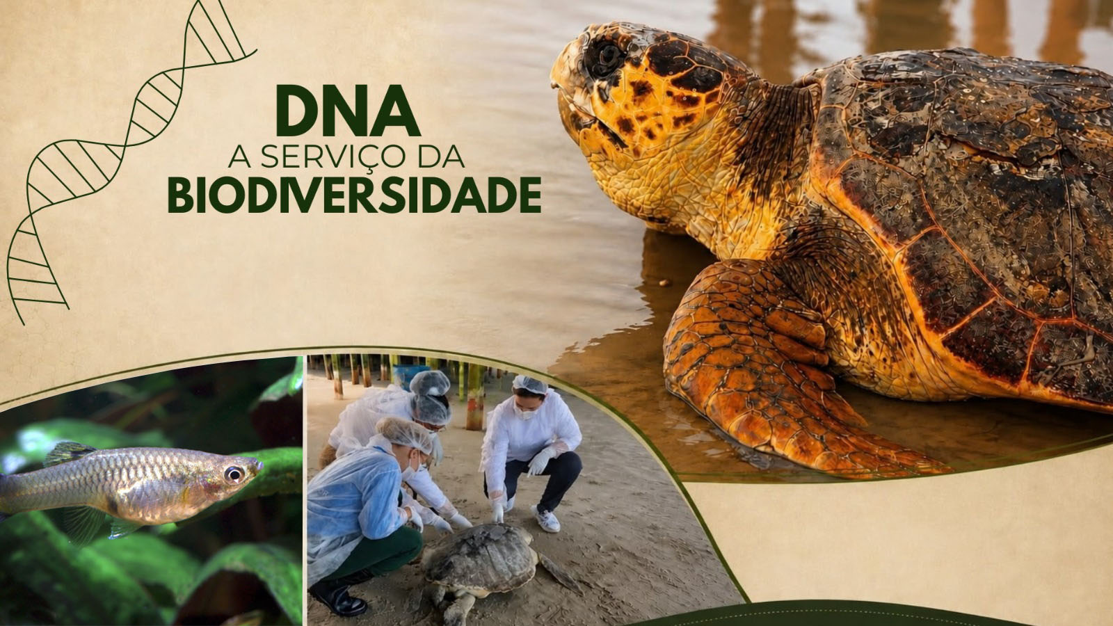 DNA ajuda pesquisadores da UFMA a identificar espécies e ampliar conhecimento sobre a biodiversidade maranhense