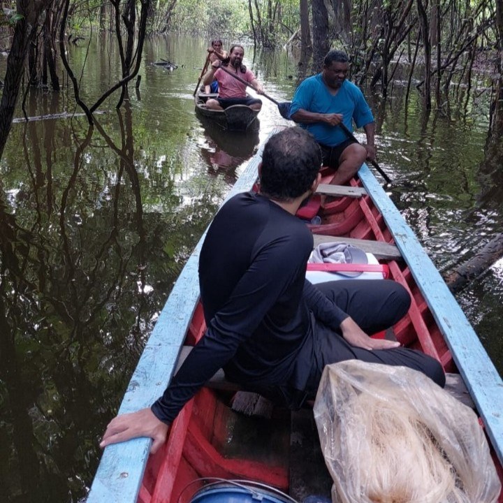 Do folclore maranhense a espécie marinha: Pesquisadores da UFMA descobrem nova espécie de traíra e batizam de Hoplias Cazumbá