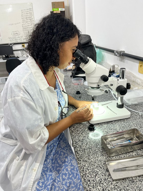 Docente da UFMA Imperatriz defende memorial e conquista o título de Professora Titular