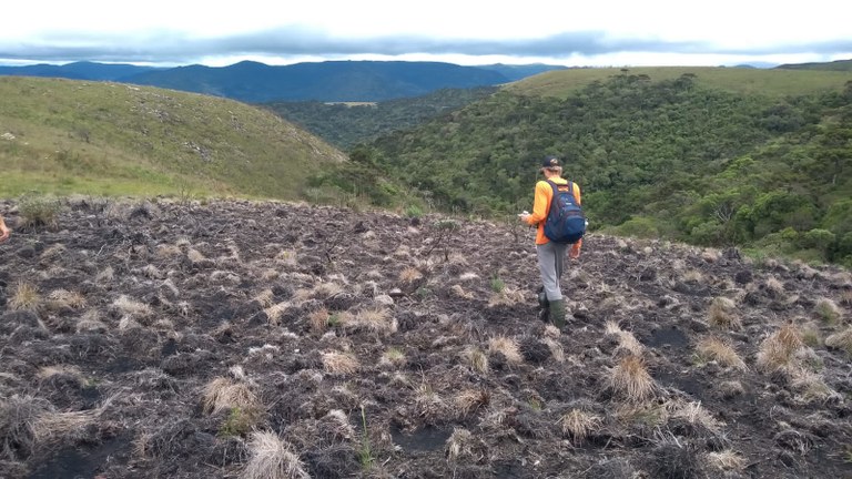 FUNBIO abre inscrições para a 9ª edição de programa que apoia pesquisas aplicadas de campo em conservação ambiental