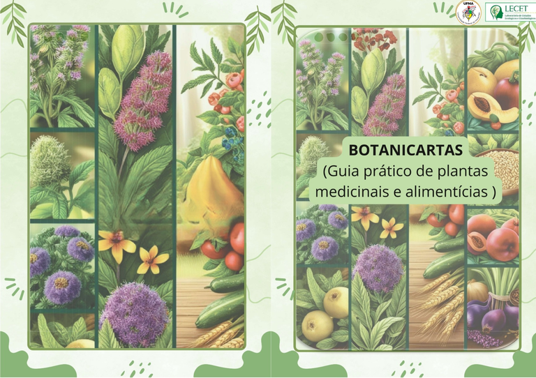 Jogo educativo da UFMA transforma saberes sobre plantas em missão científica e cultural