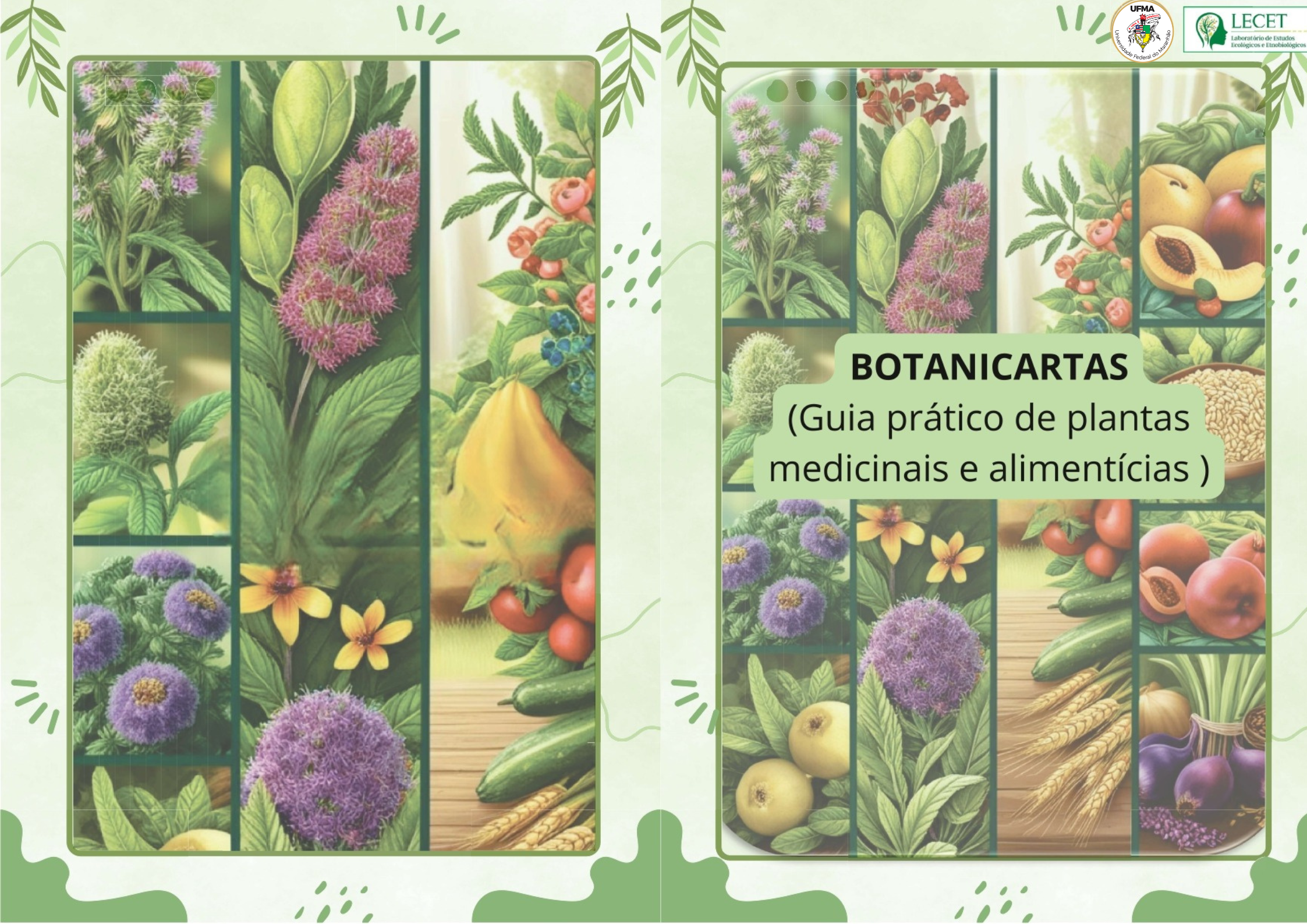 Jogo educativo da UFMA transforma saberes sobre plantas em missão científica e cultural