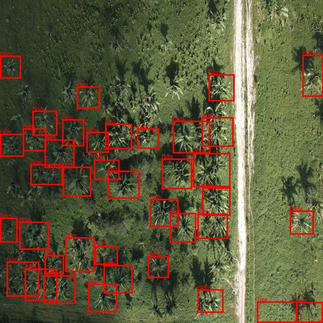 Núcleo de Pesquisa Multiciplinar da UFMA mapeia bioativos da biodiversidade brasileira