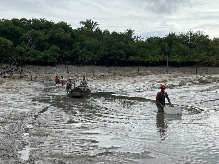 Pesquisa da UFMA sobre poluição marinha ganha reconhecimento internacional