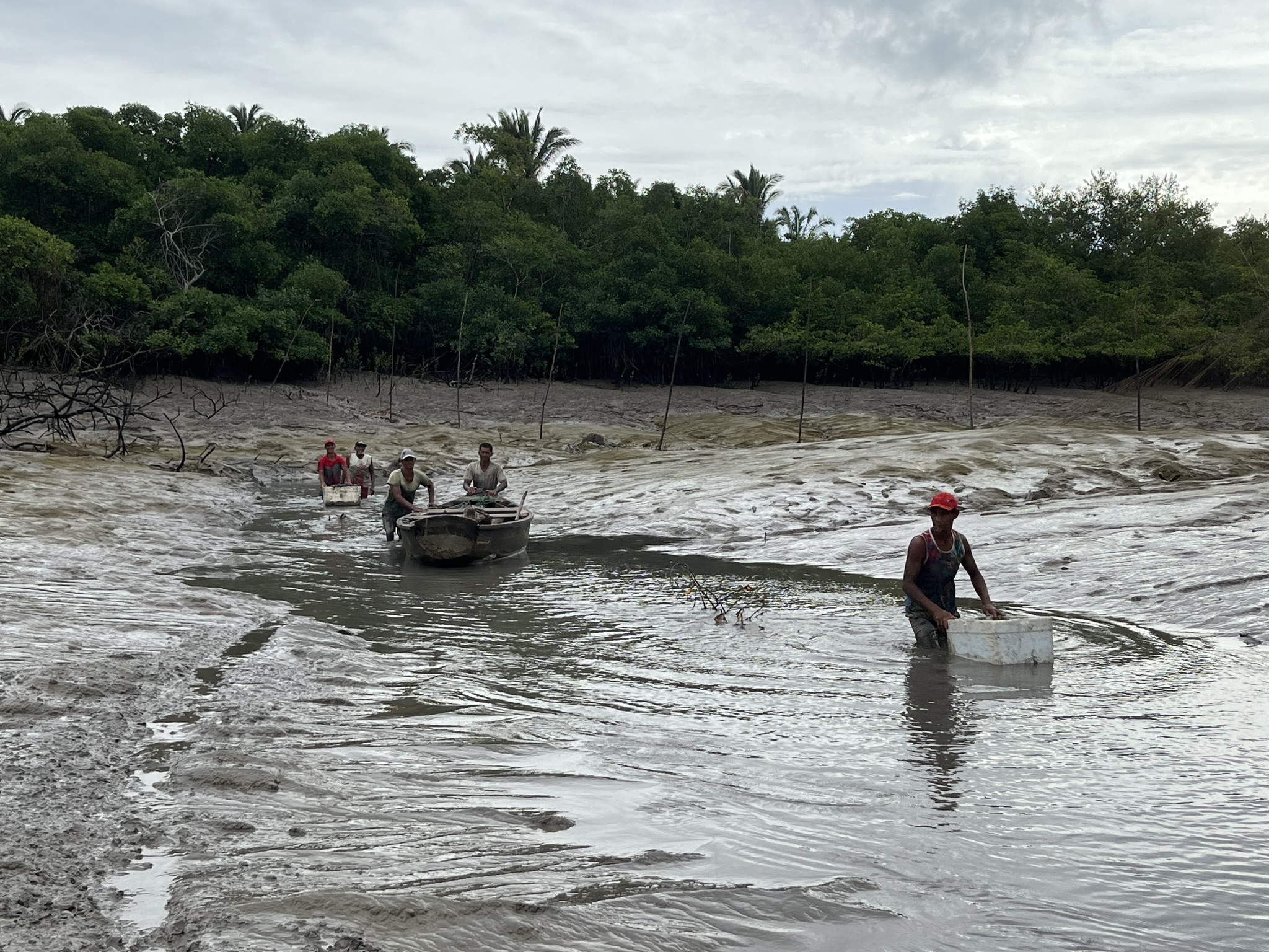 Pesquisa da UFMA sobre poluição marinha ganha reconhecimento internacional