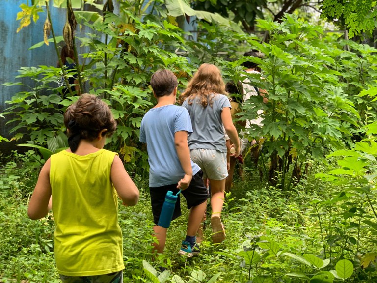 Pesquisa do Colun transformam espaço escolar em laboratório de agroecologia