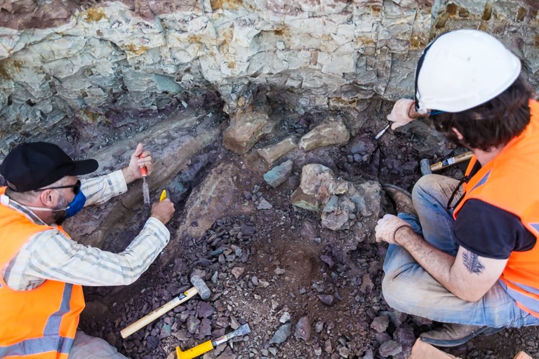 Pesquisador da UFMA integra equipe que descreve novo dinossauro brasileiro encontrado no Maranhão