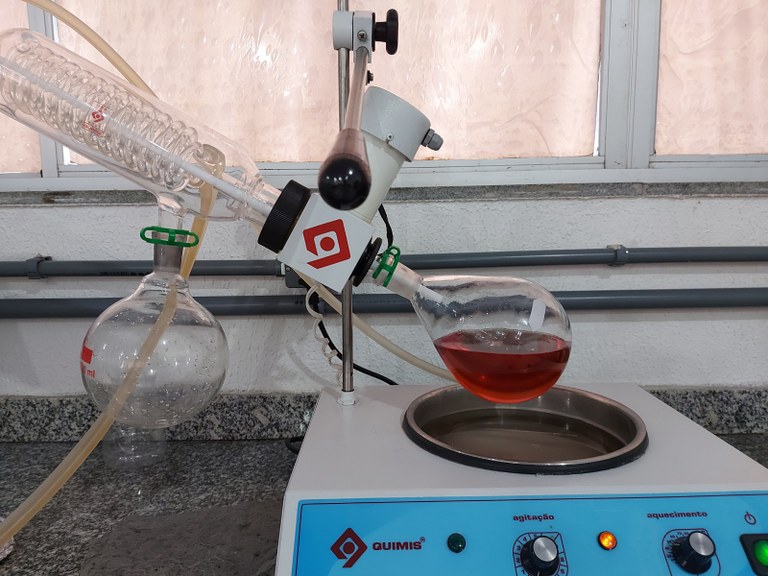 Pesquisadores da UFMA descobrem propriedades fotoprotetoras e antioxidantes na farinha do mesocarpo do babaçu