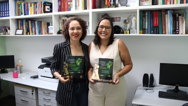 Prêmio Fapema: pesquisa premiada revela desafios na atenção primária e saúde materna no Brasil