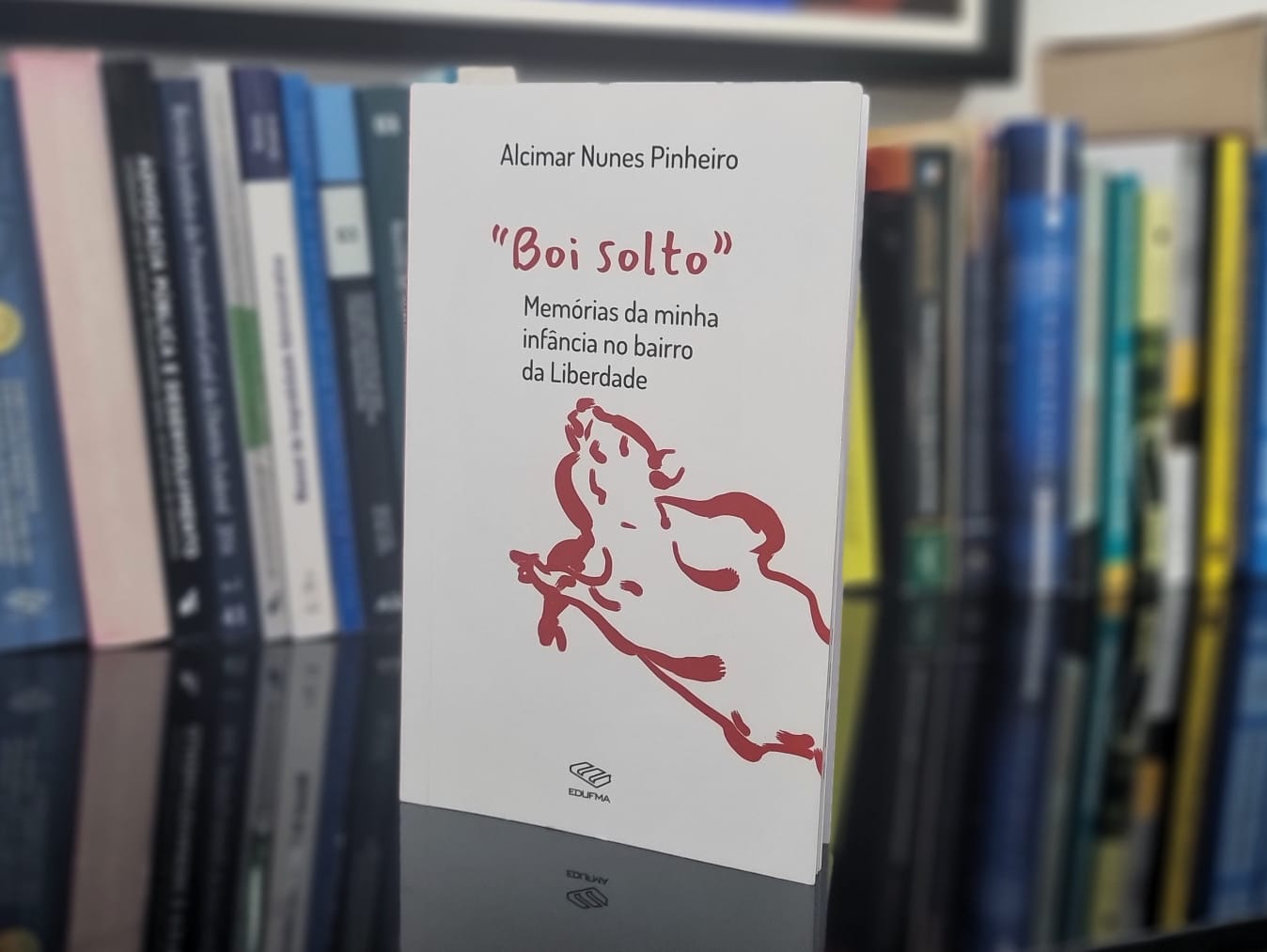 Professor da UFMA lança o livro “Boi Solto” nesta quinta-feira