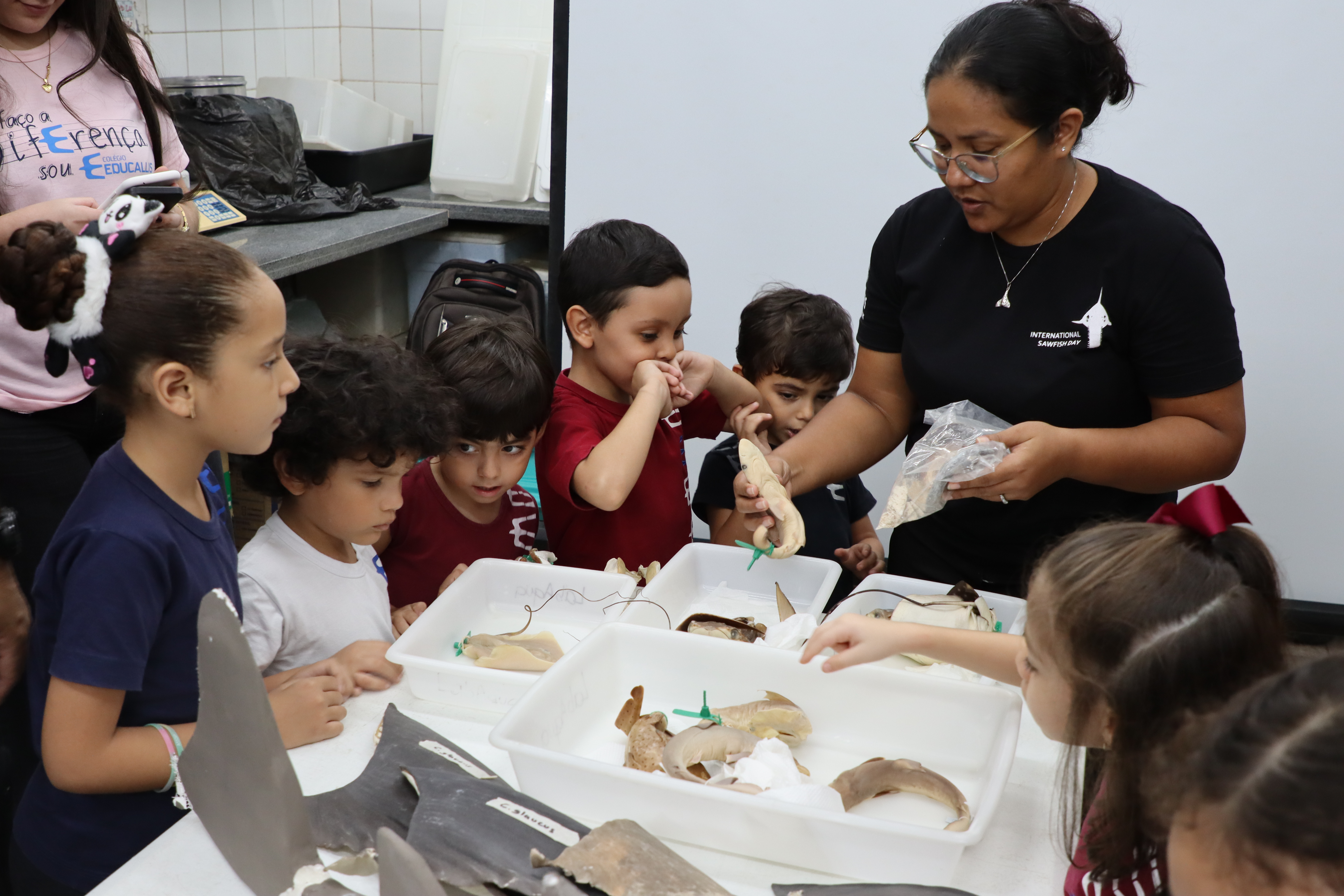 Projeto de extensão da UFMA compartilha conhecimento científico com estudantes da educação básica com foco no litoral amazônico brasileiro