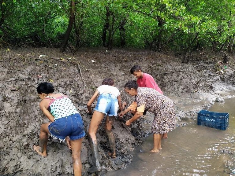 Rádio Ciência apresenta projeto de pesquisa do IFMA sobre marisqueiras do município de Raposa