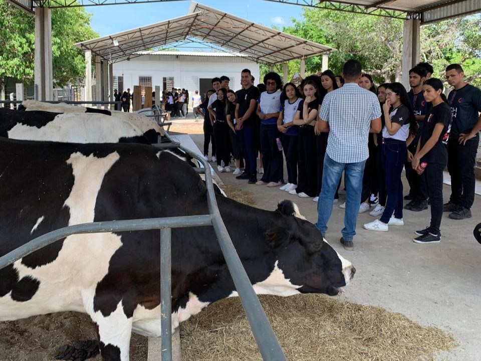 UFMA, câmpus Chapadinha, recebe alunos de escolas públicas e amplia aproximação com a comunidade