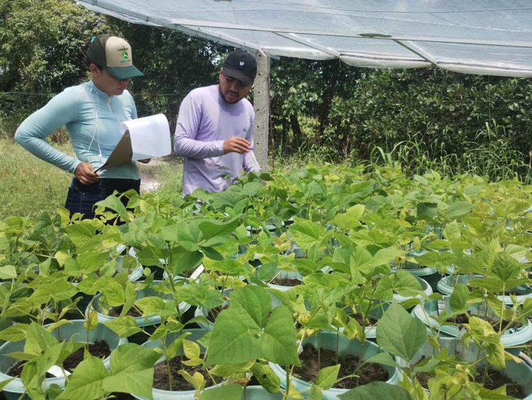 UFMA firma parceria internacional com instituição francesa para impulsionar pesquisas em agronomia sustentável