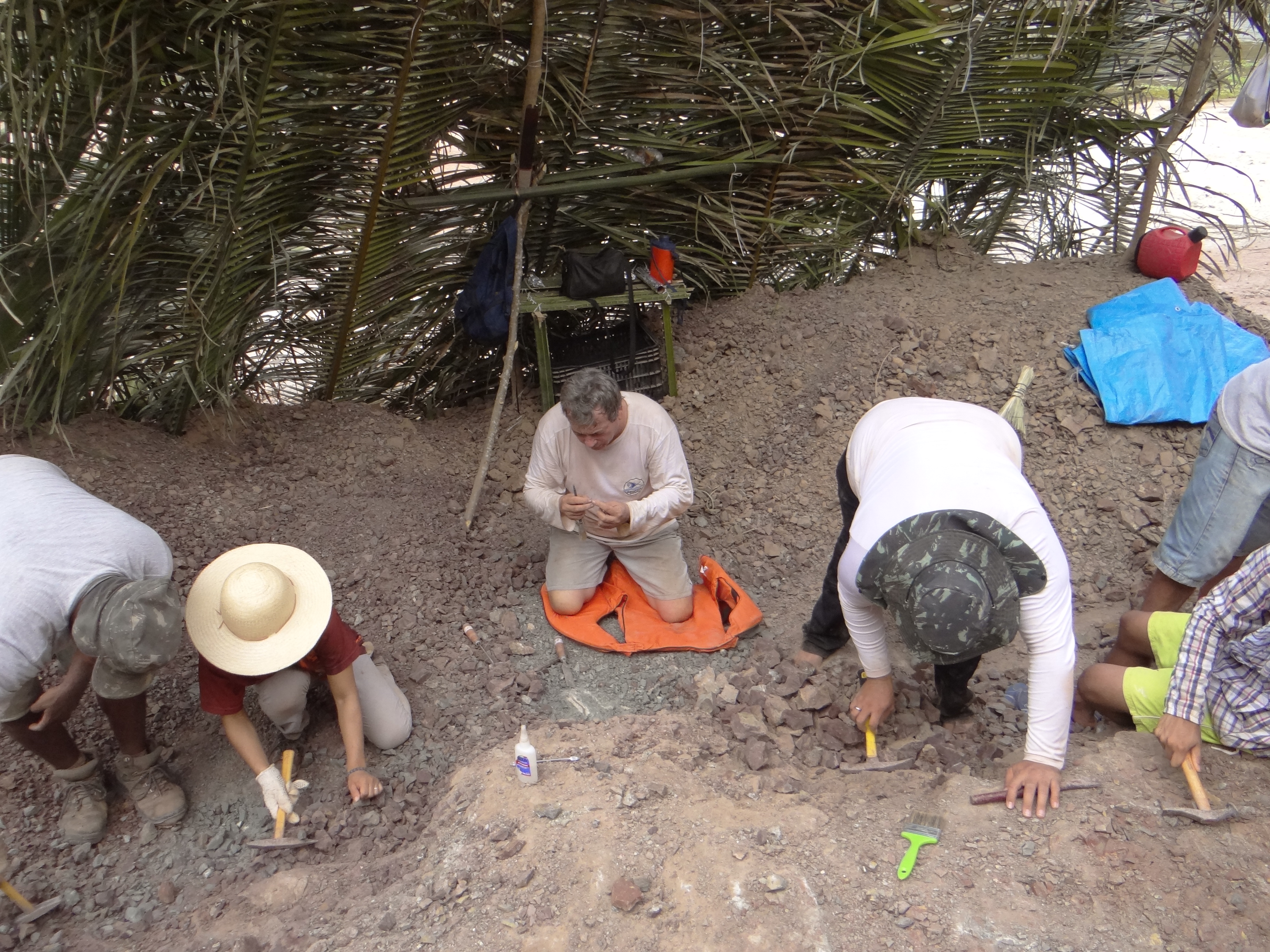 UFMA integra expedição internacional que busca fósseis de nova espécie de dinossauro no Maranhão