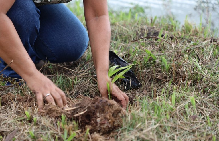 UFMA promove ações de conscientização e preservação em alusão ao Dia Mundial do Meio Ambiente