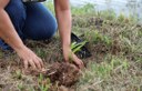 UFMA promove ações de conscientização e preservação em alusão ao Dia Mundial do Meio Ambiente