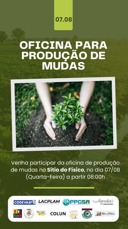 UFMA promove oficina de plantio de mudas nessa quarta-feira, 7, no Sítio do Físico