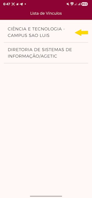 02 - Selecionar Vínculo