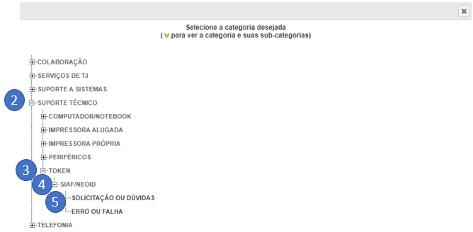 img02.png Imagem mostrando janela "Selecione a categoria desejada", onde deve ser selecionada a sequencia de opções: (2) SUPORTE TÉCNICO , (3) TOKEN , (4) SIAF/NEOID , (5) SOLICITAÇÃO OU DÚVIDAS