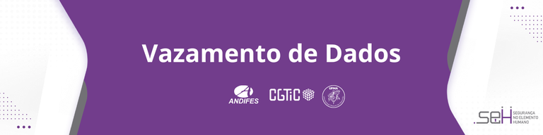 banner Vazamento de Dados.png