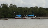 Ecossistemas maranhenses sofrem com a poluição marinha