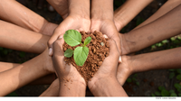 Muito além das funções tradicionais de auditoria financeira, os Tribunais de Contas (TCs) têm assumido um protagonismo essencial no cenário socioambiental.